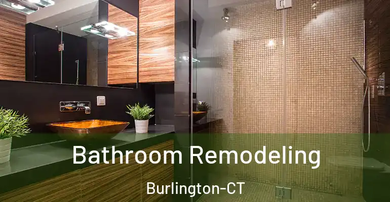 inner Bathroom imggen Bathroom Remodeling Burlington-CT