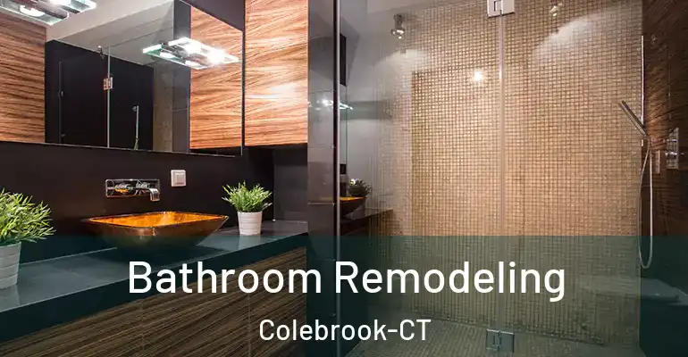inner Bathroom imggen Bathroom Remodeling Colebrook-CT