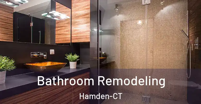 inner Bathroom imggen Bathroom Remodeling Hamden-CT