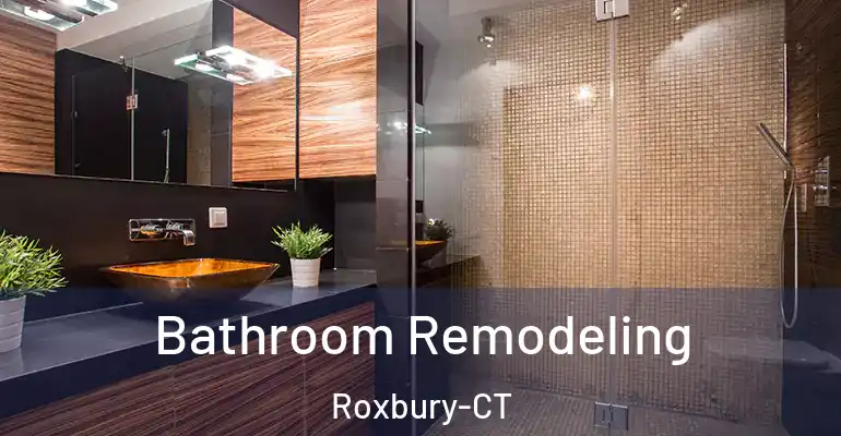 inner Bathroom imggen Bathroom Remodeling Roxbury-CT