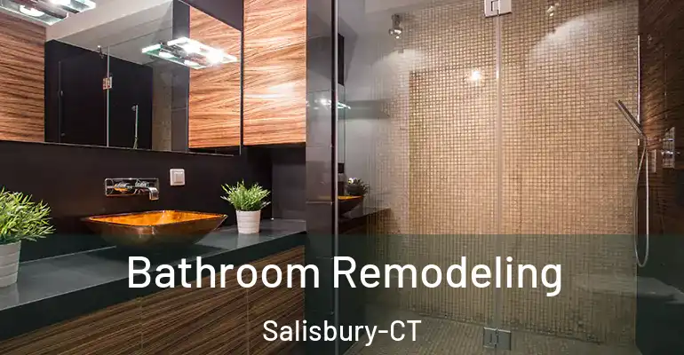inner Bathroom imggen Bathroom Remodeling Salisbury-CT