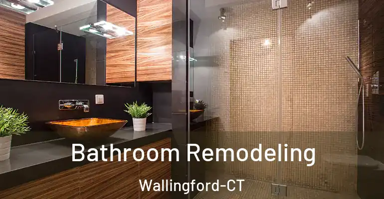 inner Bathroom imggen Bathroom Remodeling Wallingford-CT