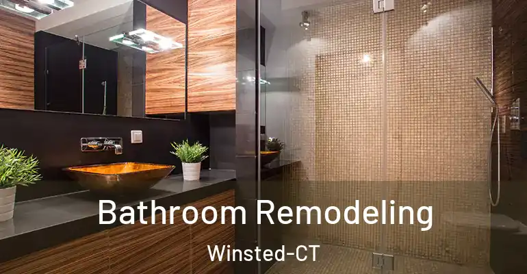 inner Bathroom imggen Bathroom Remodeling Winsted-CT