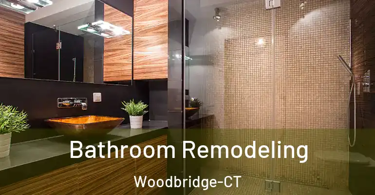 inner Bathroom imggen Bathroom Remodeling Woodbridge-CT