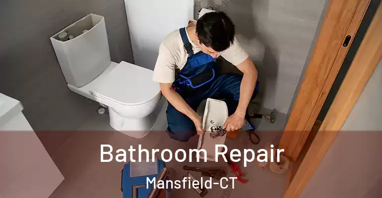 inner Bathroom imggen Bathroom Repair Mansfield-CT