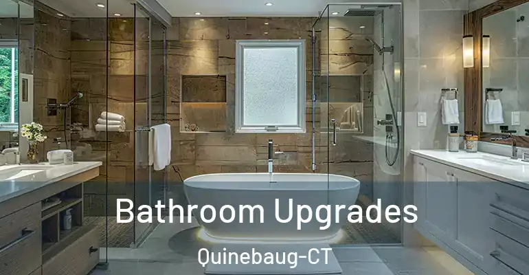 inner Bathroom imggen Bathroom Upgrades Quinebaug-CT