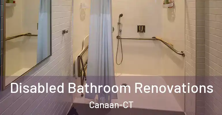inner Bathroom imggen Disabled Bathroom Renovations Canaan-CT