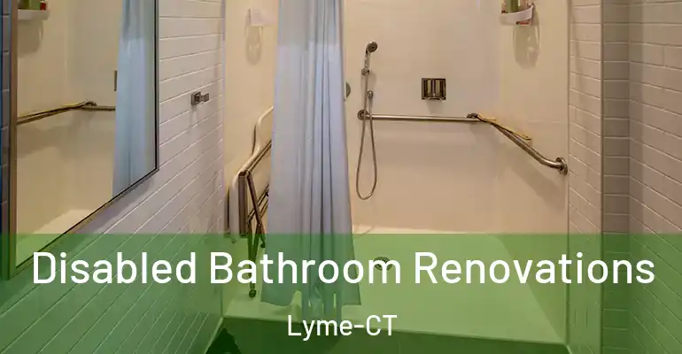 inner Bathroom imggen Disabled Bathroom Renovations Lyme-CT