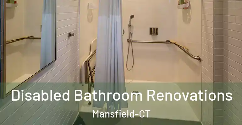 inner Bathroom imggen Disabled Bathroom Renovations Mansfield-CT