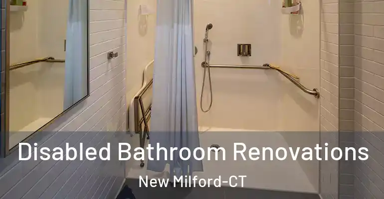 inner Bathroom imggen Disabled Bathroom Renovations New Milford-CT