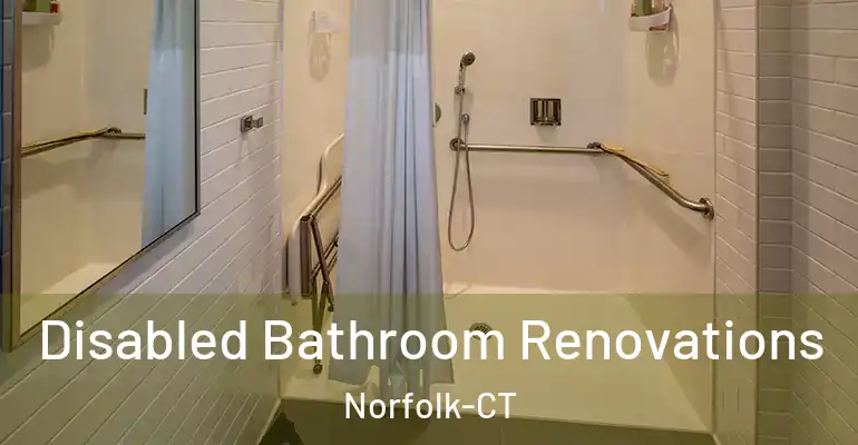 inner Bathroom imggen Disabled Bathroom Renovations Norfolk-CT