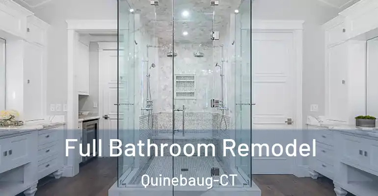 inner Bathroom imggen Full Bathroom Remodel Quinebaug-CT