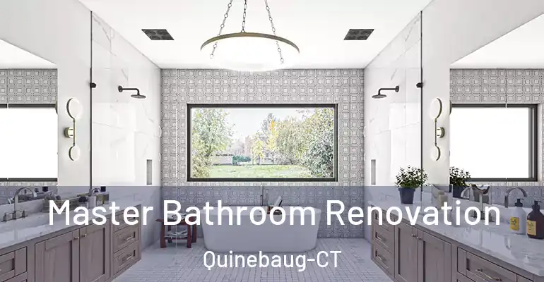 inner Bathroom imggen Master Bathroom Renovation Quinebaug-CT