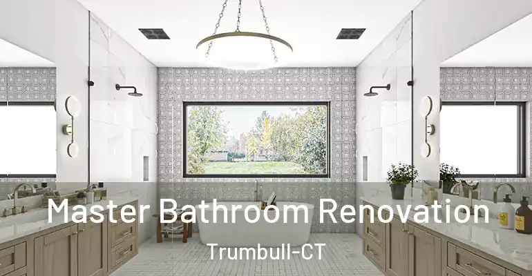 inner Bathroom imggen Master Bathroom Renovation Trumbull-CT