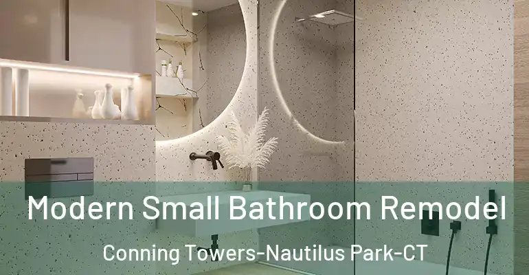 inner Bathroom imggen Modern Small Bathroom Remodel Conning Towers-Nautilus Park-CT