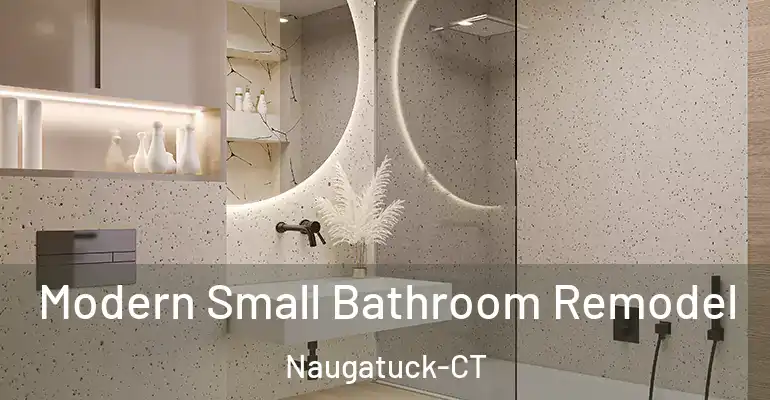 inner Bathroom imggen Modern Small Bathroom Remodel Naugatuck-CT
