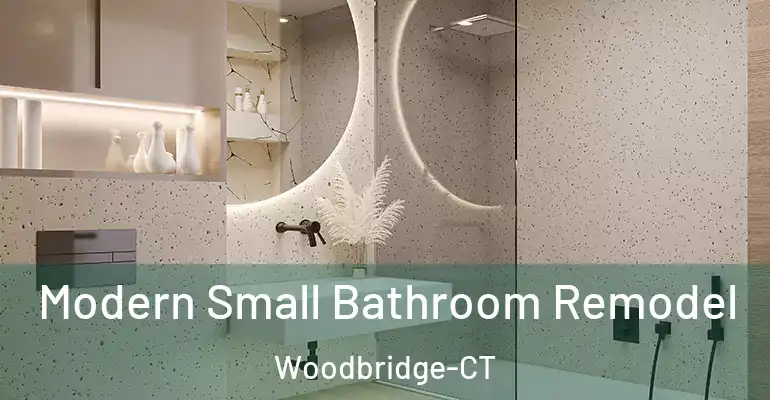 inner Bathroom imggen Modern Small Bathroom Remodel Woodbridge-CT