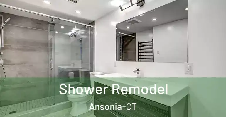inner Bathroom imggen Shower Remodel Ansonia-CT