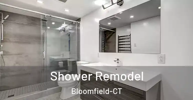 inner Bathroom imggen Shower Remodel Bloomfield-CT