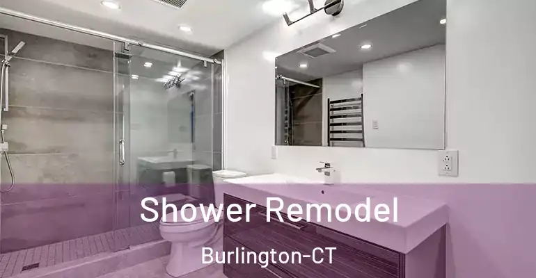 inner Bathroom imggen Shower Remodel Burlington-CT