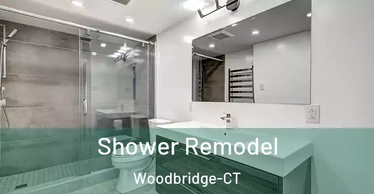 inner Bathroom imggen Shower Remodel Woodbridge-CT