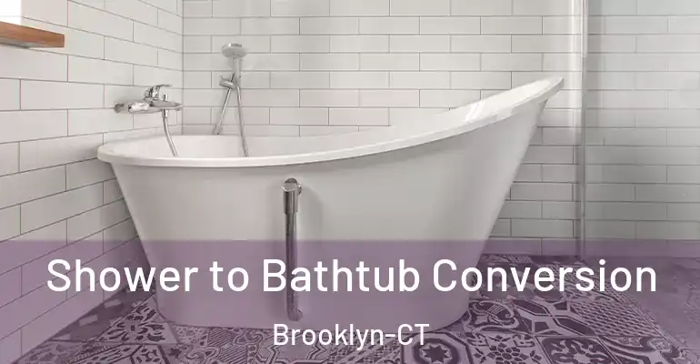 inner Bathroom imggen Shower to Bathtub Conversion Brooklyn-CT