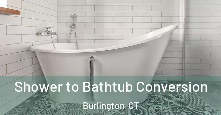 inner Bathroom imggen Shower to Bathtub Conversion Burlington-CT