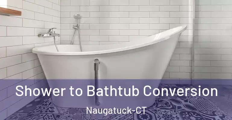 inner Bathroom imggen Shower to Bathtub Conversion Naugatuck-CT