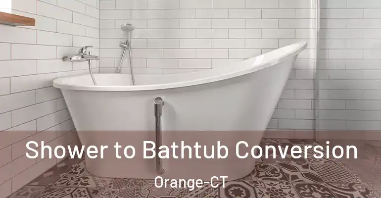 inner Bathroom imggen Shower to Bathtub Conversion Orange-CT