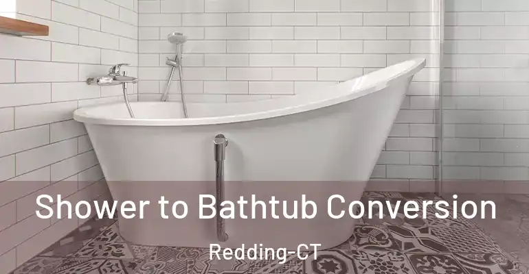inner Bathroom imggen Shower to Bathtub Conversion Redding-CT