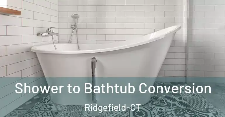 inner Bathroom imggen Shower to Bathtub Conversion Ridgefield-CT