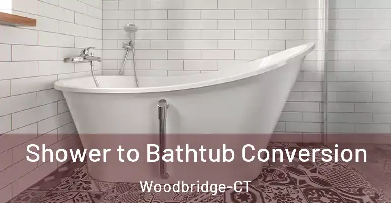 inner Bathroom imggen Shower to Bathtub Conversion Woodbridge-CT