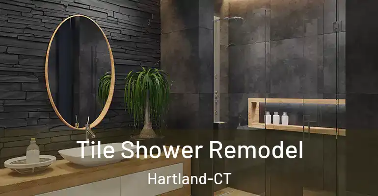 inner Bathroom imggen Tile Shower Remodel Hartland-CT