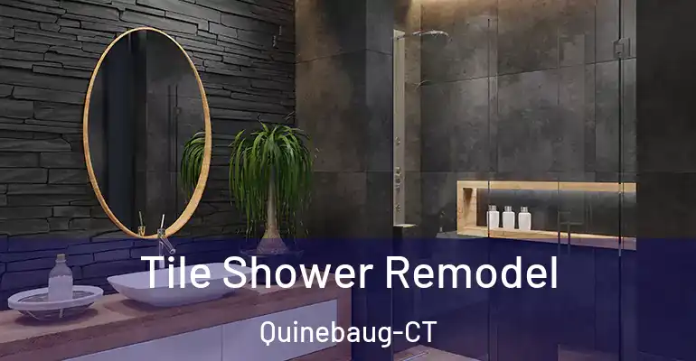 inner Bathroom imggen Tile Shower Remodel Quinebaug-CT