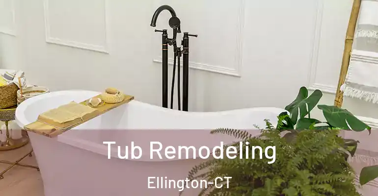 inner Bathroom imggen Tub Remodeling Ellington-CT