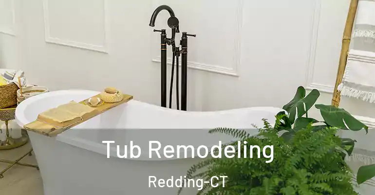 inner Bathroom imggen Tub Remodeling Redding-CT