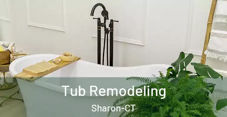 inner Bathroom imggen Tub Remodeling Sharon-CT