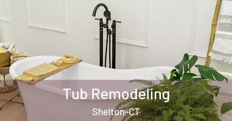 inner Bathroom imggen Tub Remodeling Shelton-CT