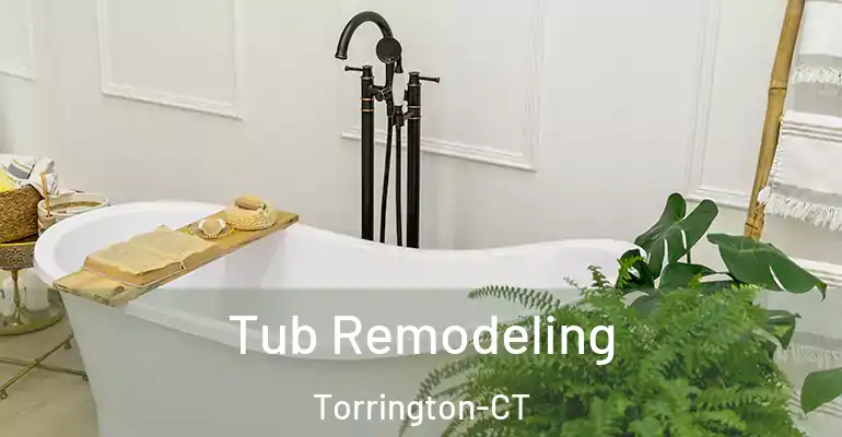 inner Bathroom imggen Tub Remodeling Torrington-CT
