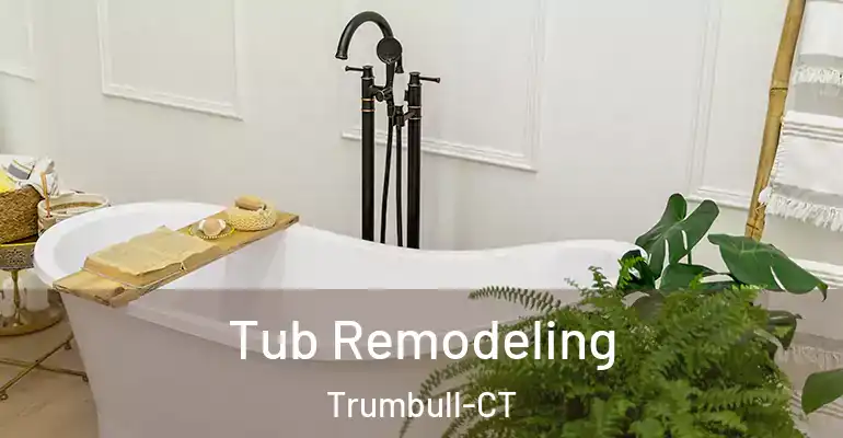 inner Bathroom imggen Tub Remodeling Trumbull-CT