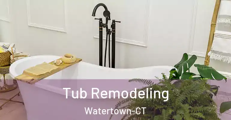 inner Bathroom imggen Tub Remodeling Watertown-CT