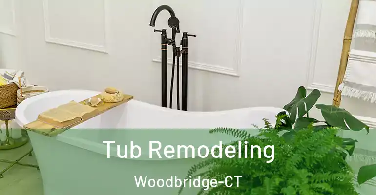 inner Bathroom imggen Tub Remodeling Woodbridge-CT