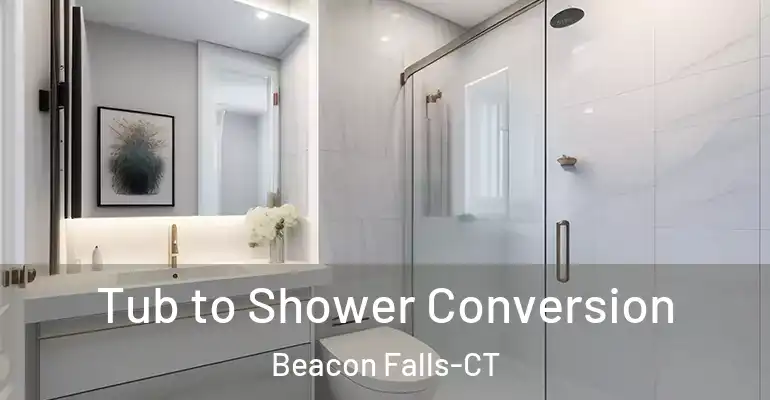 inner Bathroom imggen Tub to Shower Conversion Beacon Falls-CT