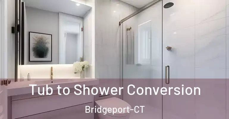 inner Bathroom imggen Tub to Shower Conversion Bridgeport-CT