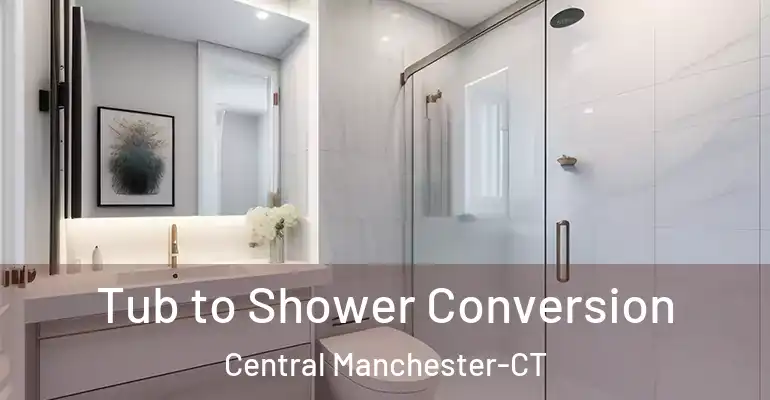 inner Bathroom imggen Tub to Shower Conversion Central Manchester-CT