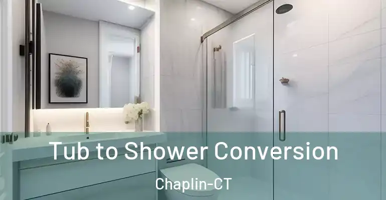inner Bathroom imggen Tub to Shower Conversion Chaplin-CT