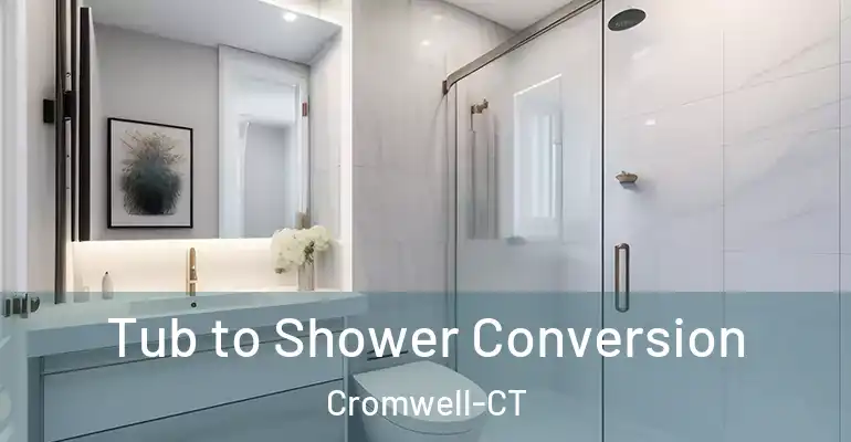 inner Bathroom imggen Tub to Shower Conversion Cromwell-CT