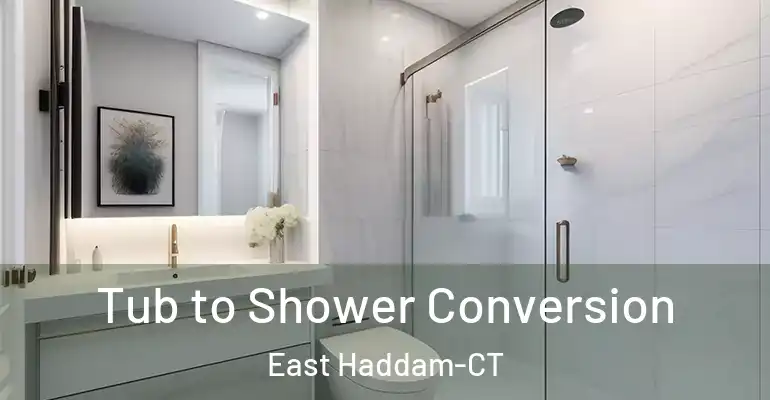 inner Bathroom imggen Tub to Shower Conversion East Haddam-CT