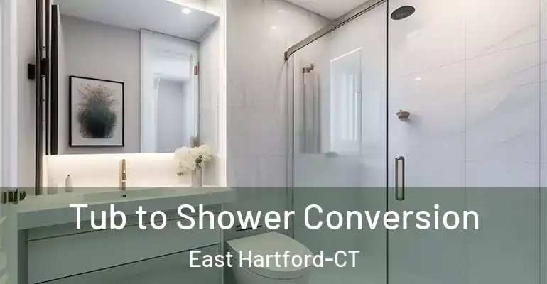 inner Bathroom imggen Tub to Shower Conversion East Hartford-CT