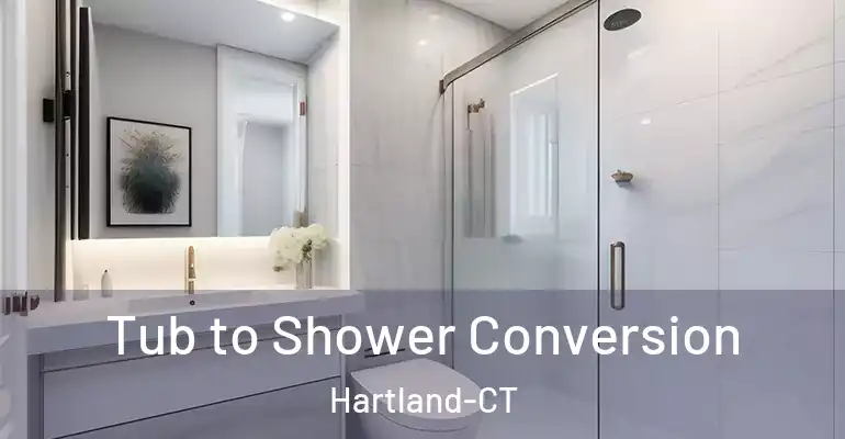 inner Bathroom imggen Tub to Shower Conversion Hartland-CT